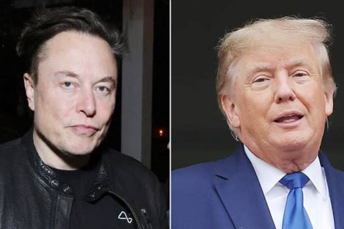 Donald Trump Twitter account reappers after Elon Musk poll