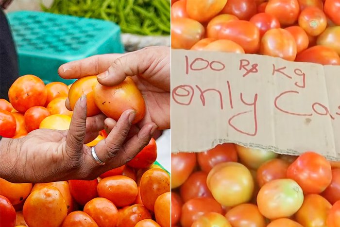 Tomato Prices Shoot Up Across The Country, The Reason Is…
