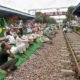 Farmers’ 4-hour ‘rail roko’ protest today, trains to face disruptions